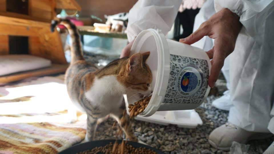 Yenişehir’de Sokak Hayvanları Unutulmadı