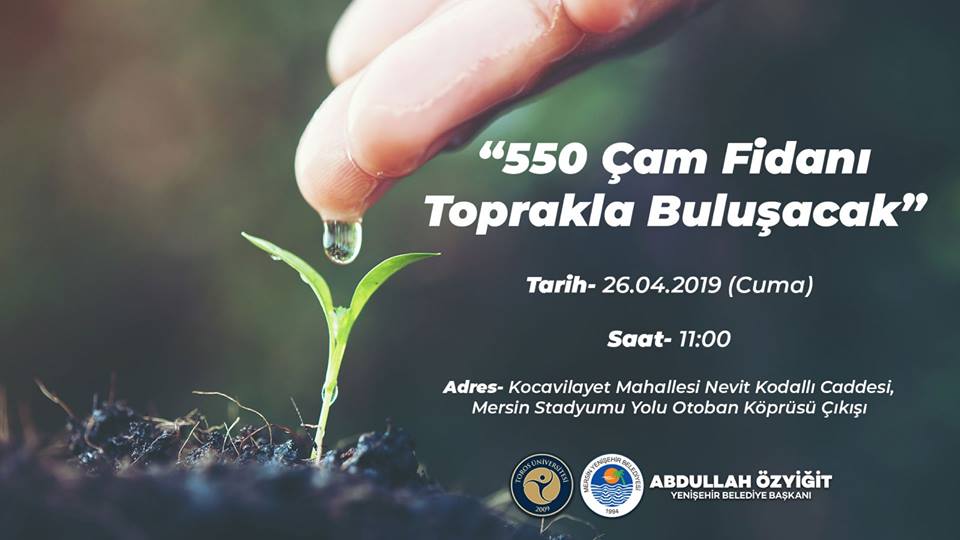 550 Çam Fidanı Toprakla Buluşacak