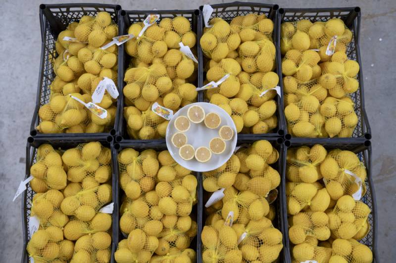 Mersin’den Ankara’ya 50 Ton Limon