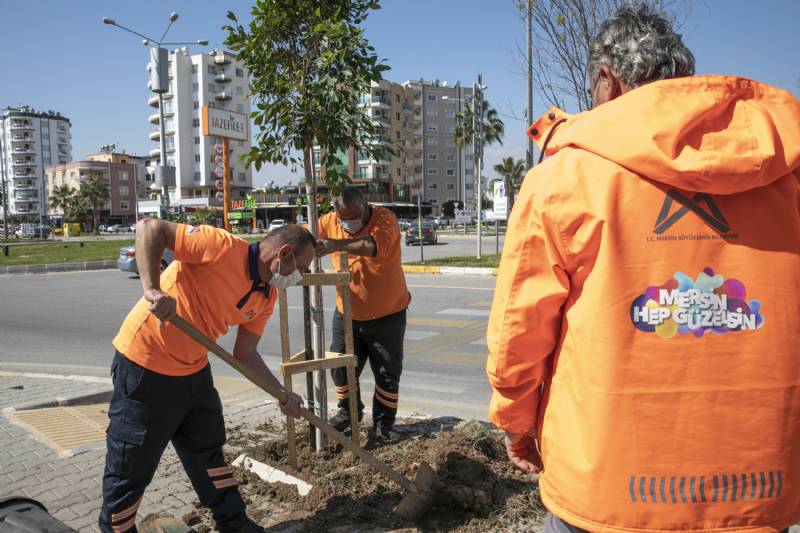 Büyükşehir Kaldırımları Yeniliyor