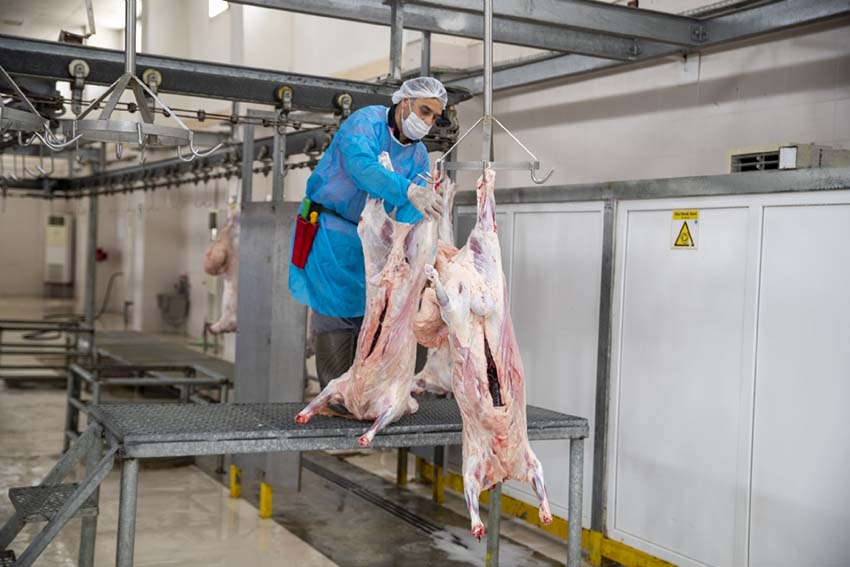 Mersin Büyükşehir, Mezbahalar Ve Mobil Kesim Üniteleri İle Kurban Bayramı’na Hazır